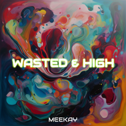 Wasted & High Cover IT1